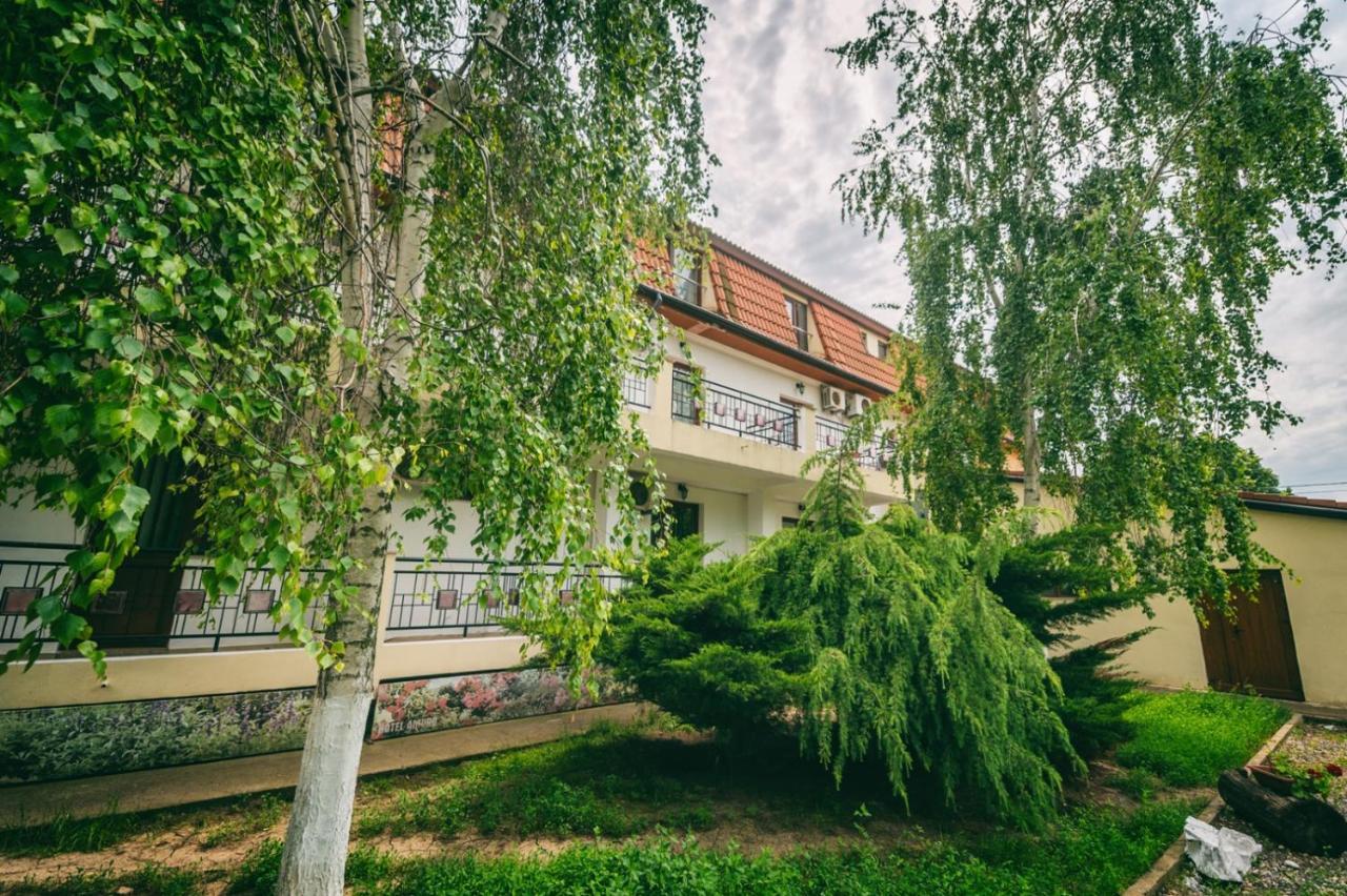 Hotel Amurg Eforie Sud  Zewnętrze zdjęcie